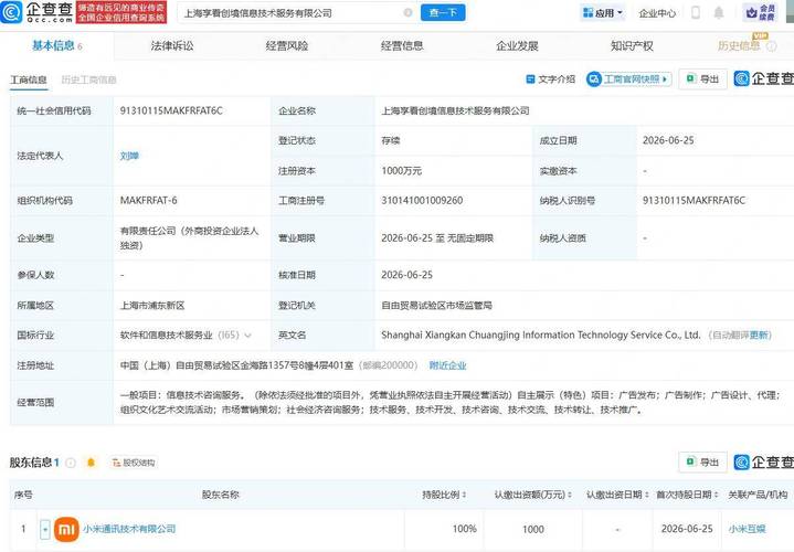 代表人为刘婵,注册资本为1000万元,经营范围包含:信息技术咨询服务